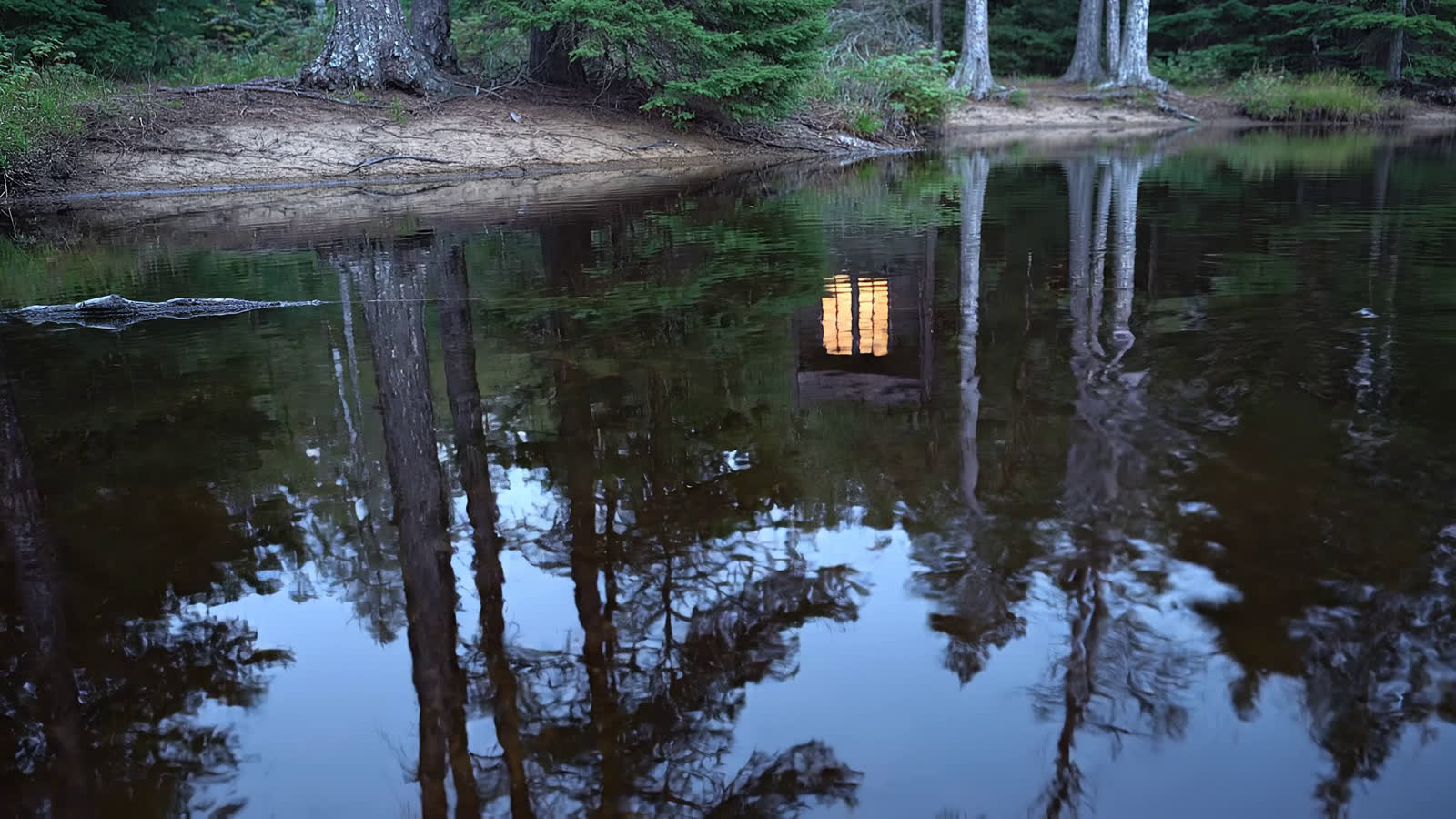 Tannin water at the property edge. It is what makes the clearing as quiet as it is.
